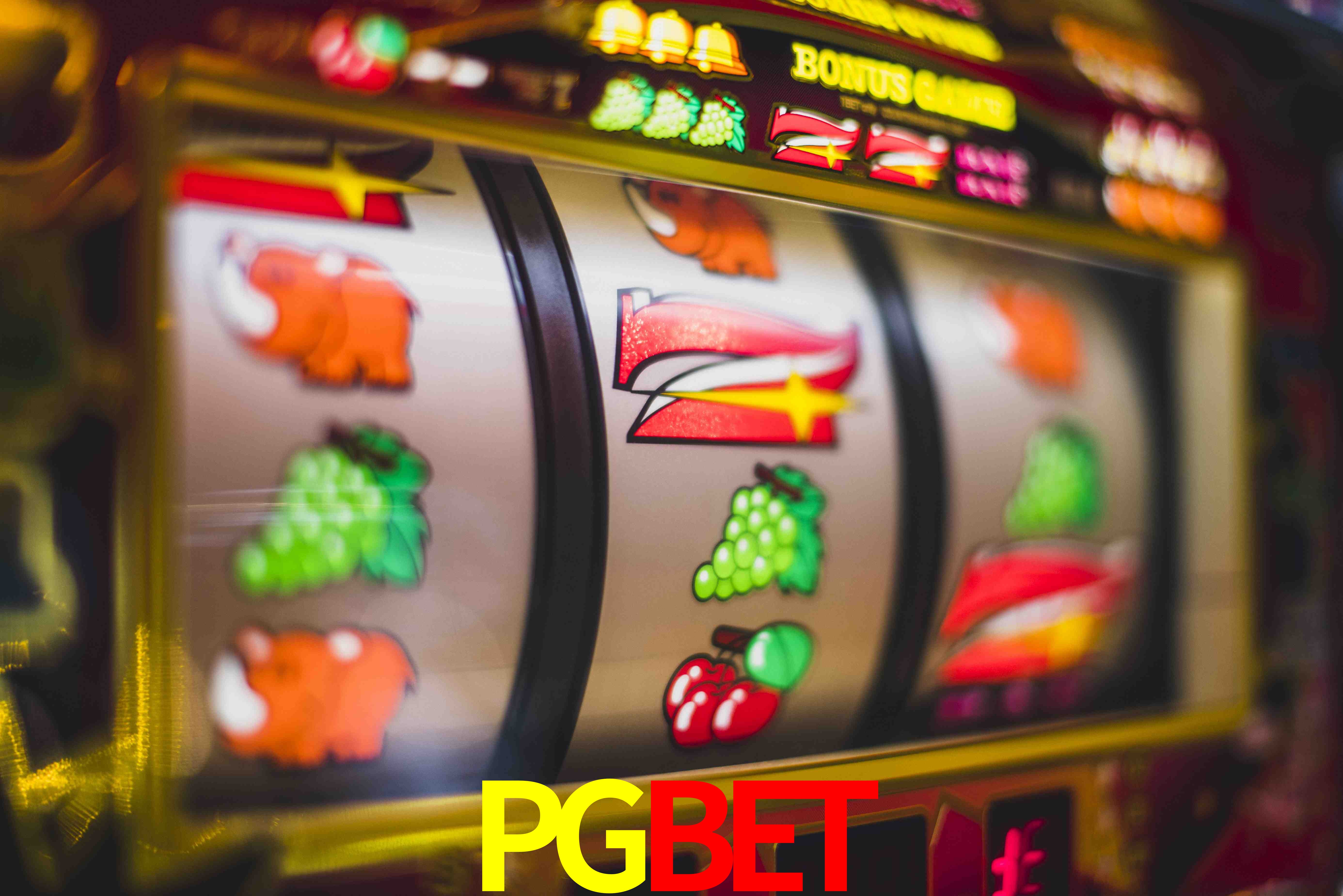 Experiência VIP PGBET
